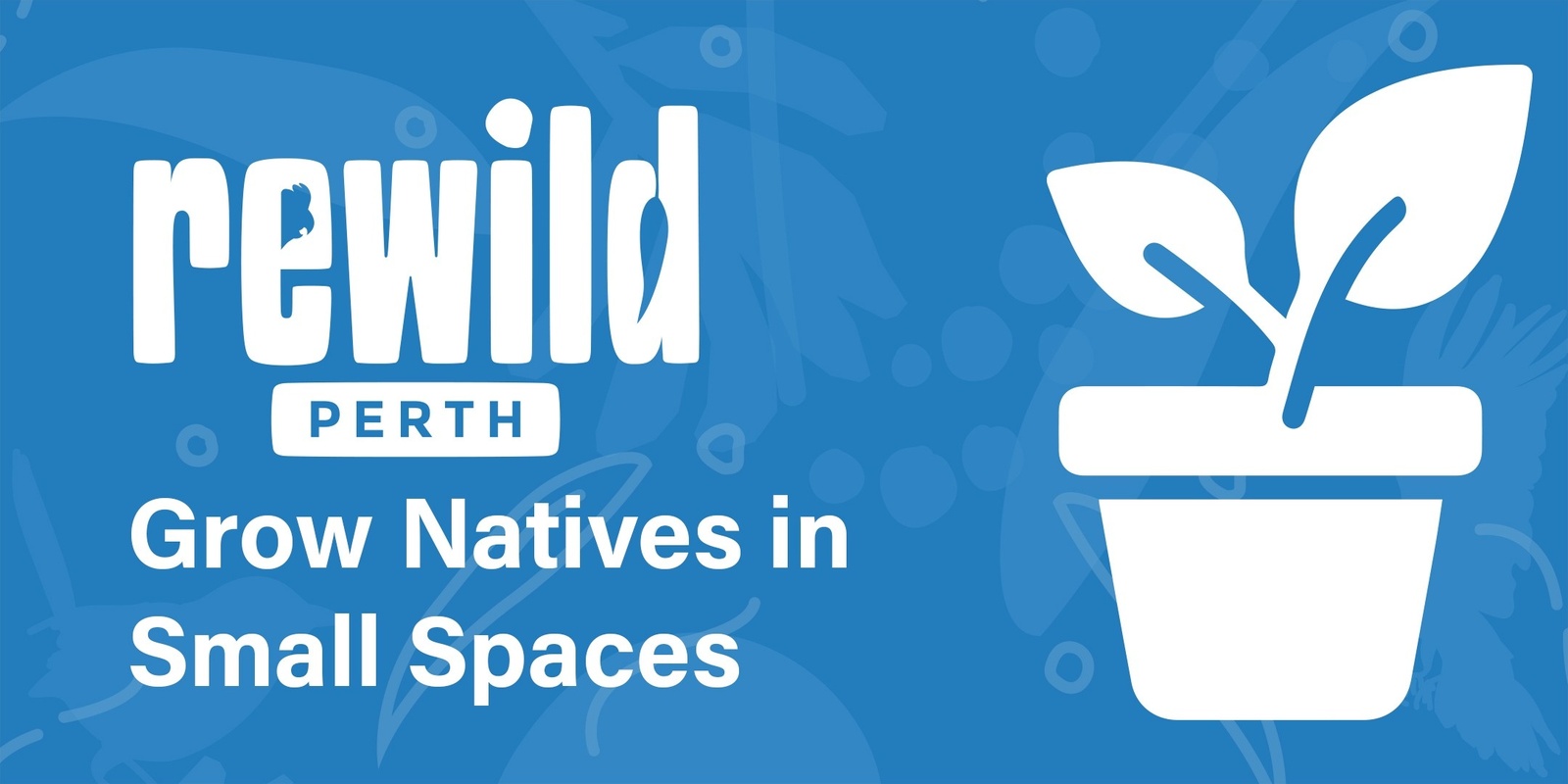 Banner image for Grow Natives in Small Spaces (Rockingham)