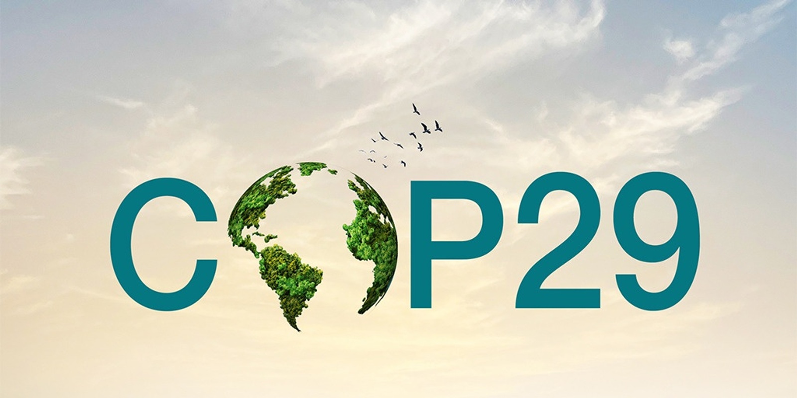 Banner image for Post COP29 - What happened, and where to from here?