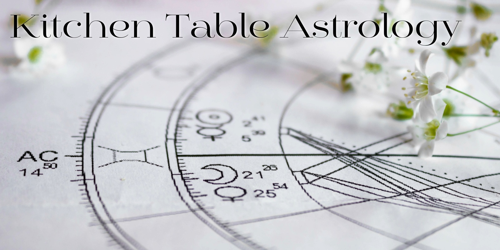 Banner image for Kitchen Table Astrology (July)