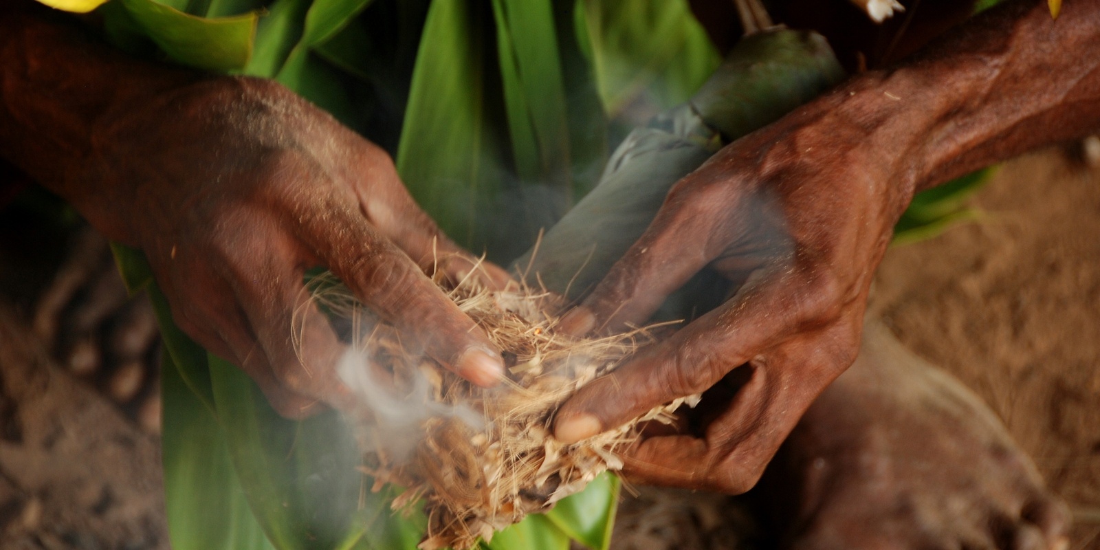 Banner image for Traditional Ecological Knowledge: Multidisciplinary Perspectives