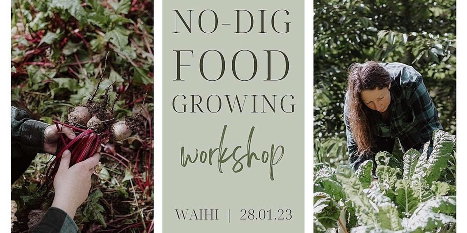 Banner image for No-Dig Food Growing Workshop