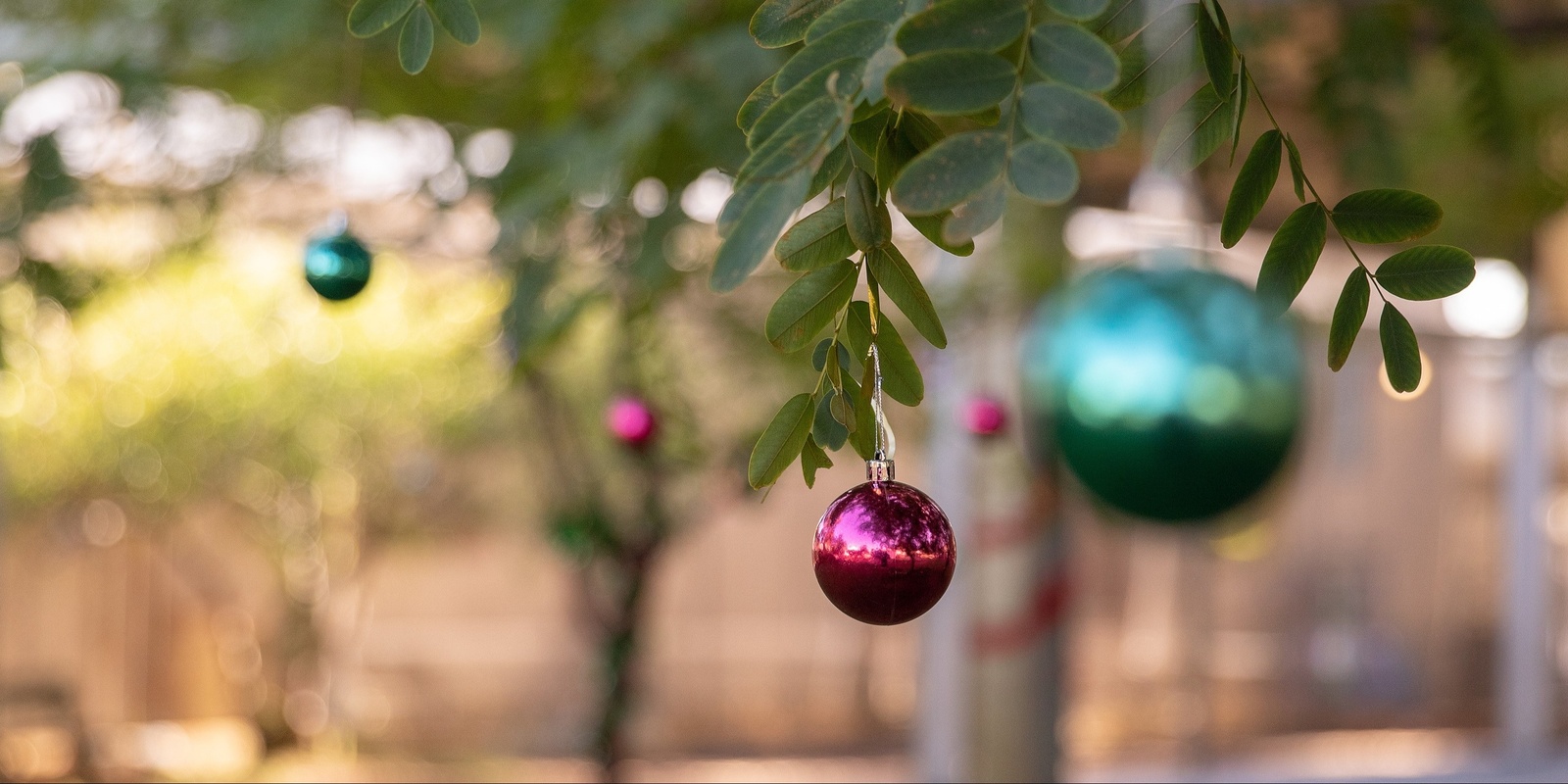 Banner image for Hampers - BPCS Christmas Party 