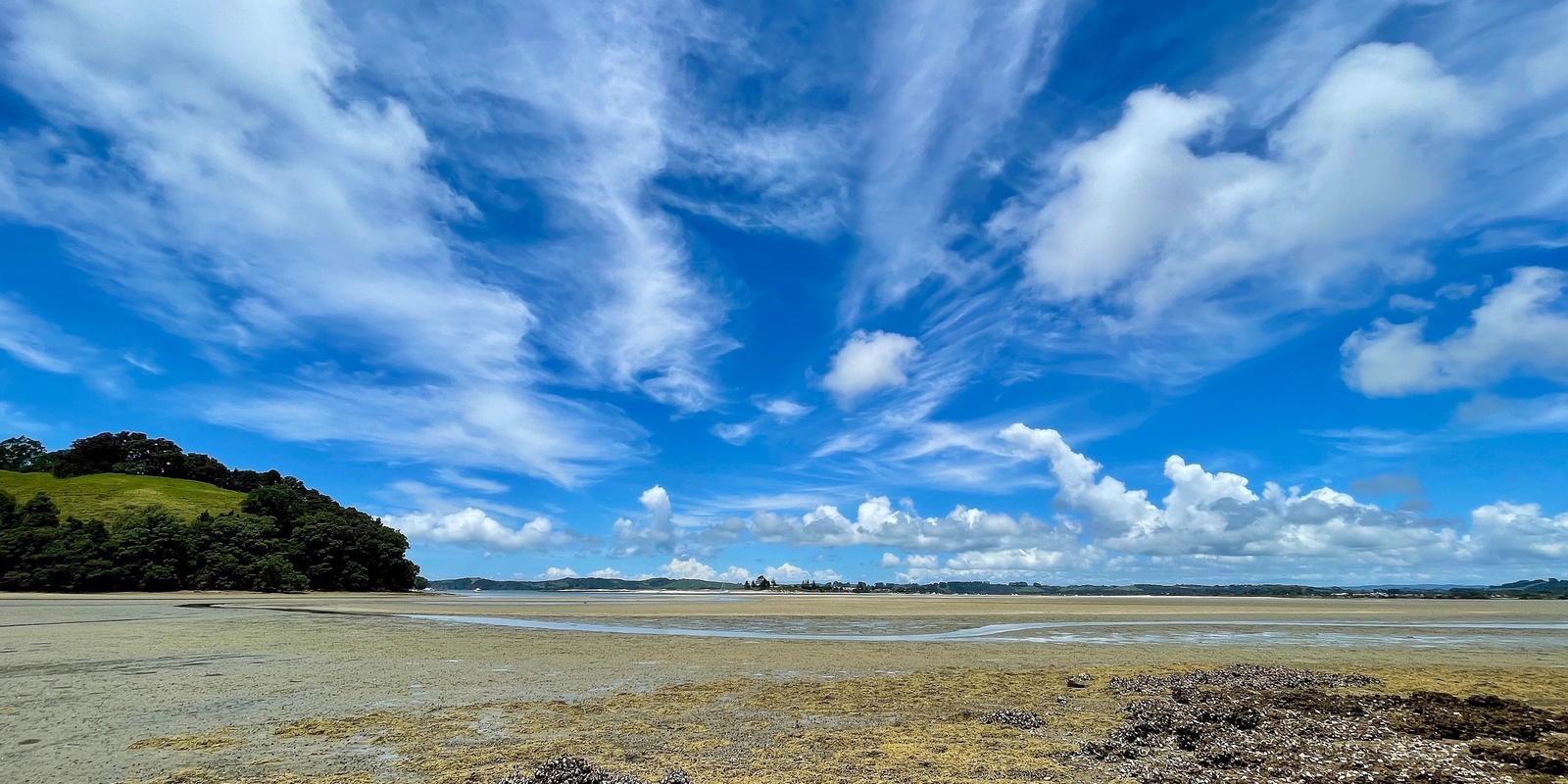 Banner image for Whangateau HarbourCare Guest Speaker Evening - Simon Thomas on heatwave impacts in the harbour