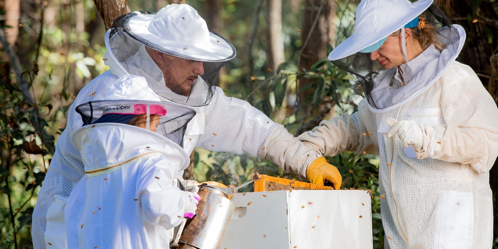 Banner image for Introduction to Beekeeping