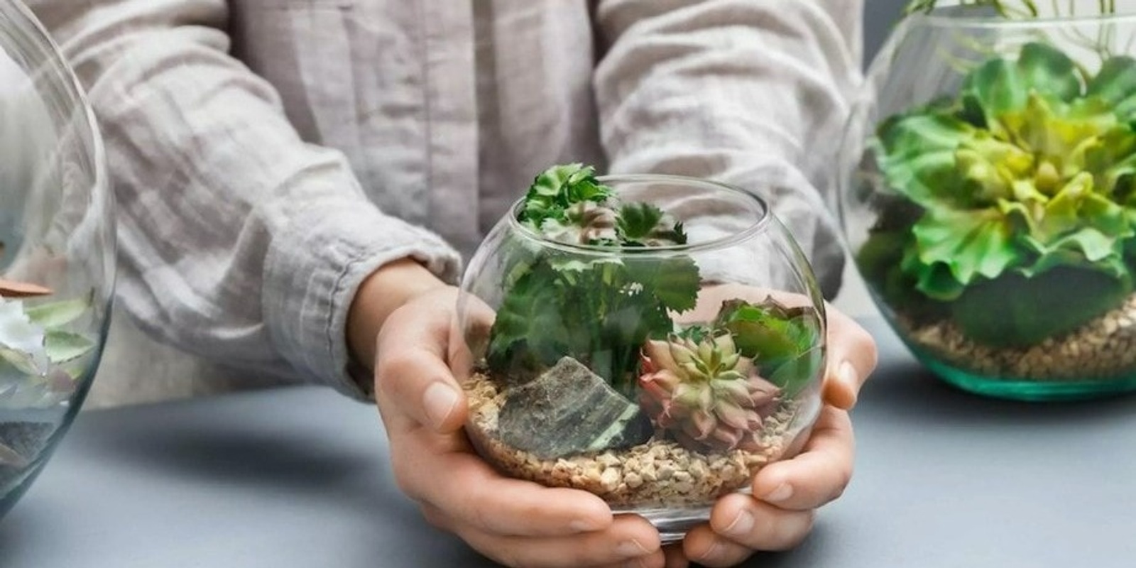 Banner image for Garden in a Jar: A Beginner’s Terrarium Workshop