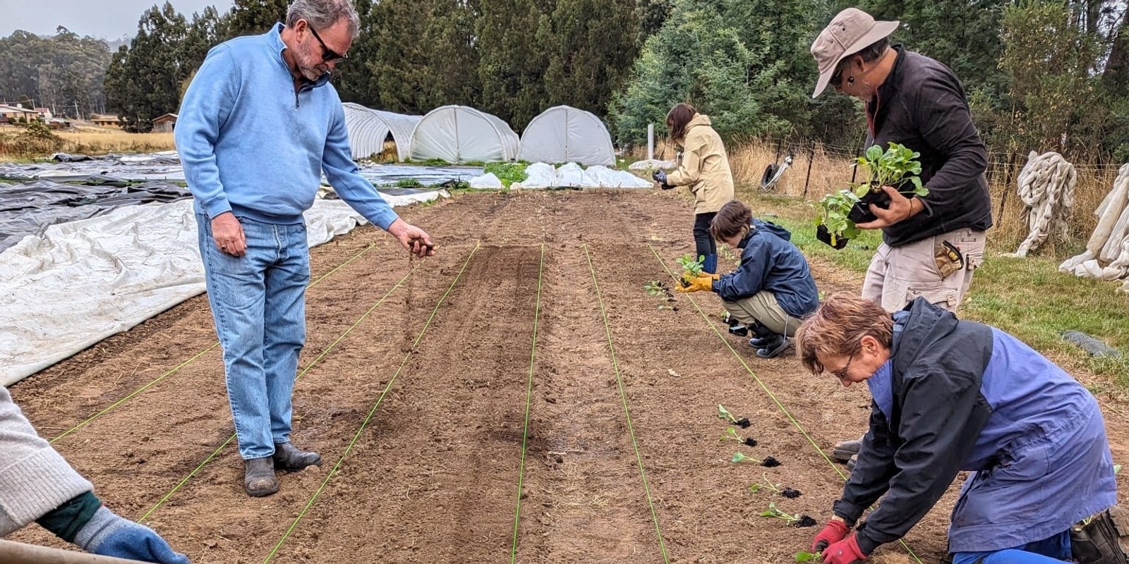 Banner image for Geeveston Community Grows Annual General Meeting