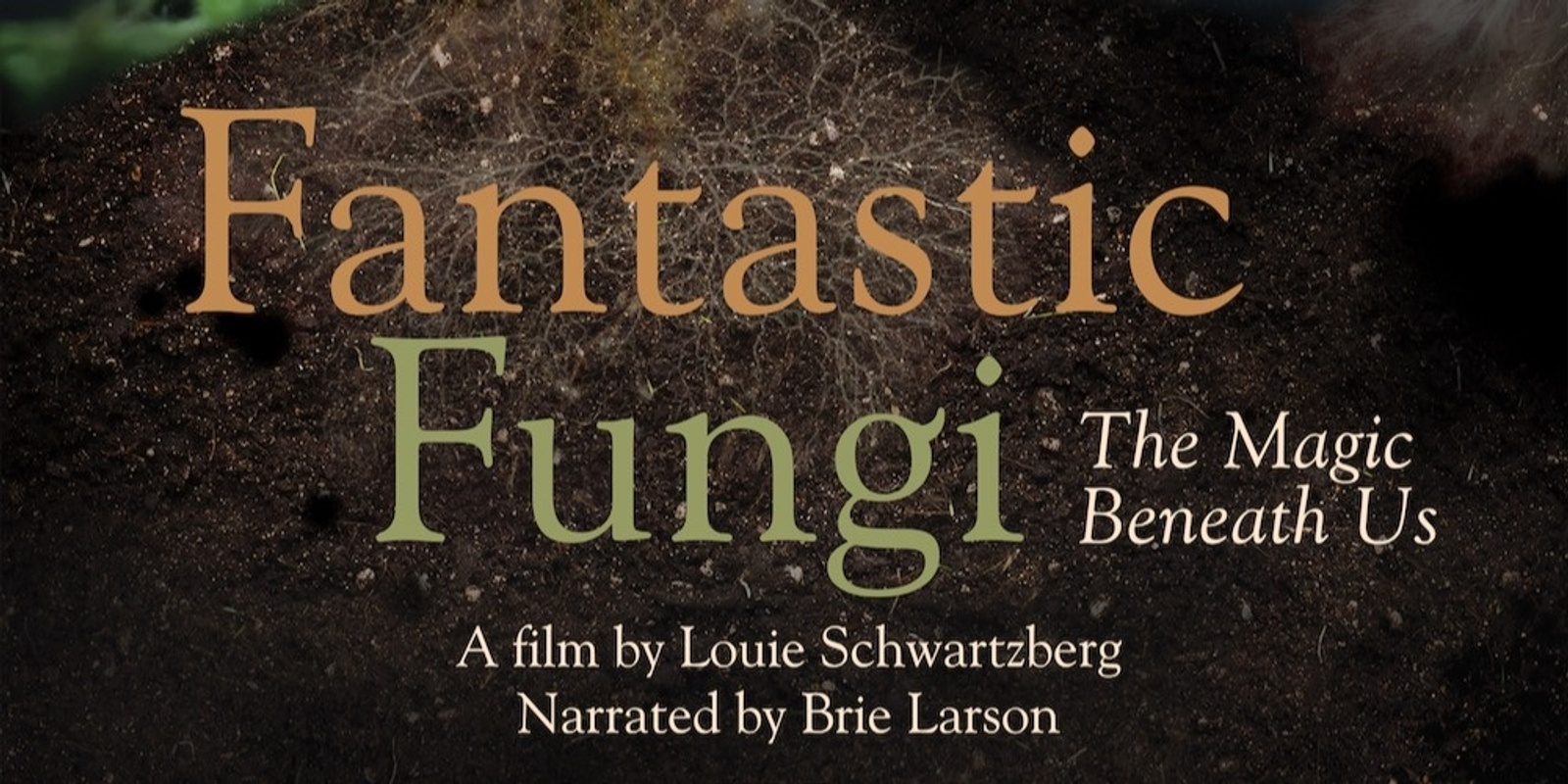 Banner image for Fantastic Fungi