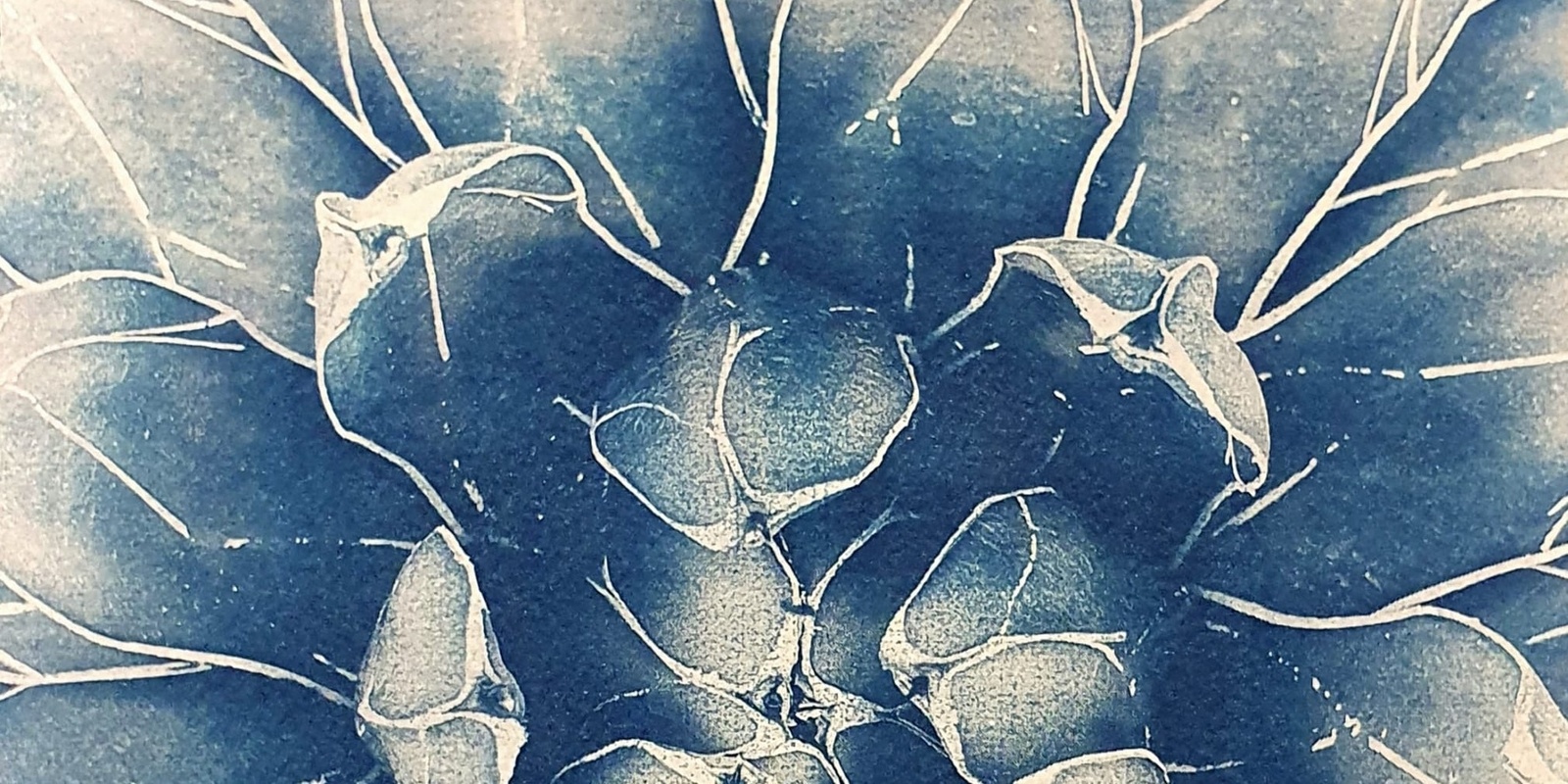 Banner image for Next-Step Cyanotype Playdate