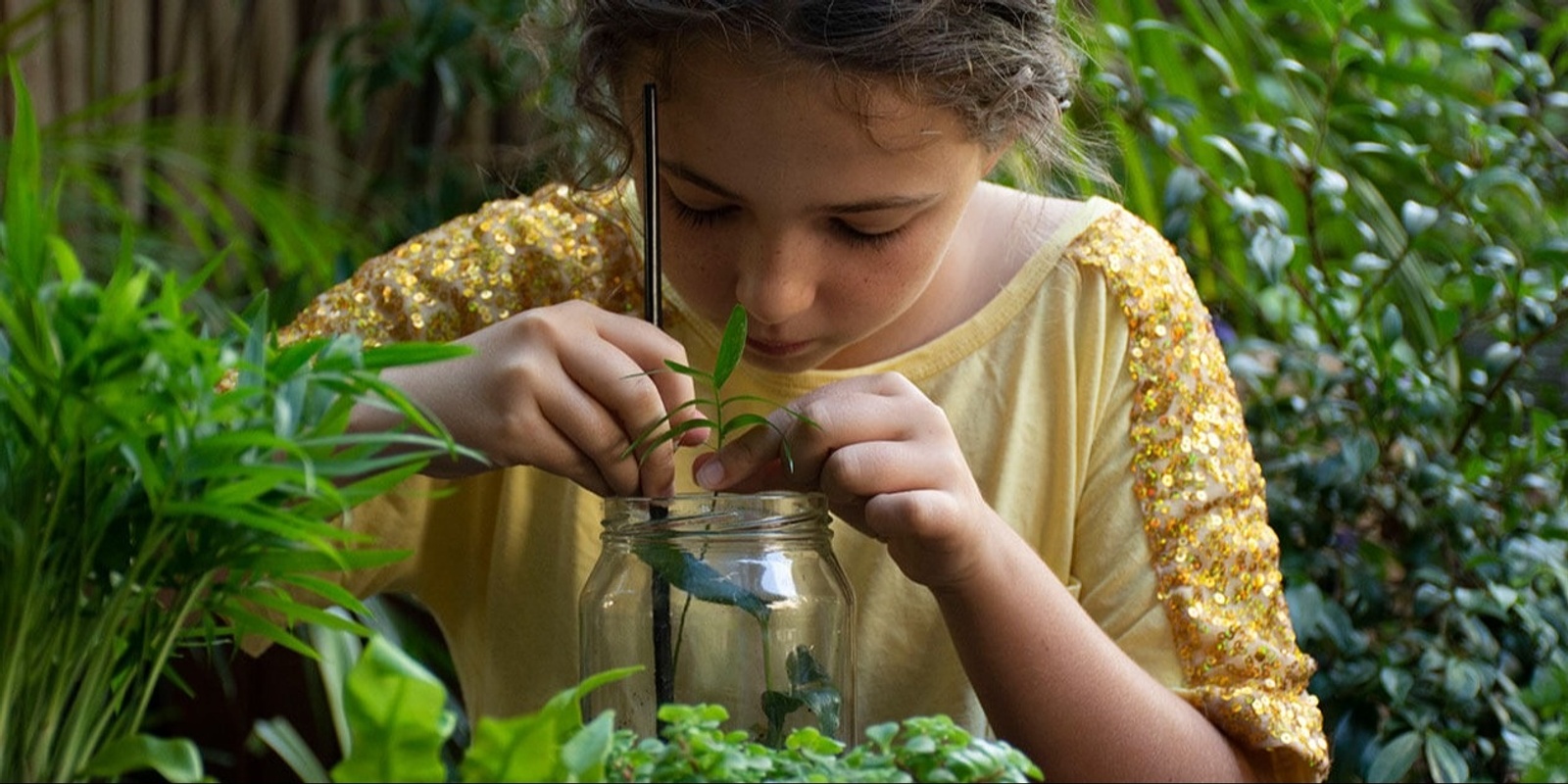 Banner image for Rainforest in a Jar at Mount Annan