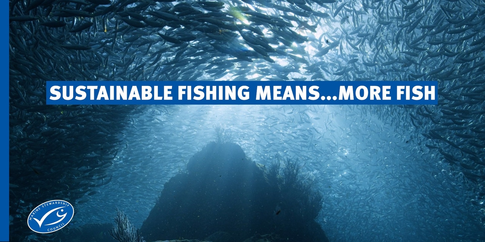 Banner image for Big Blue Future - Sustainable Fishing Means More...