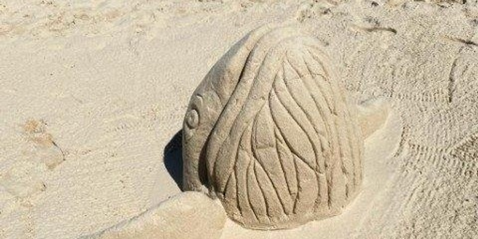 Banner image for Sanctuary - a marine sand sculpture event