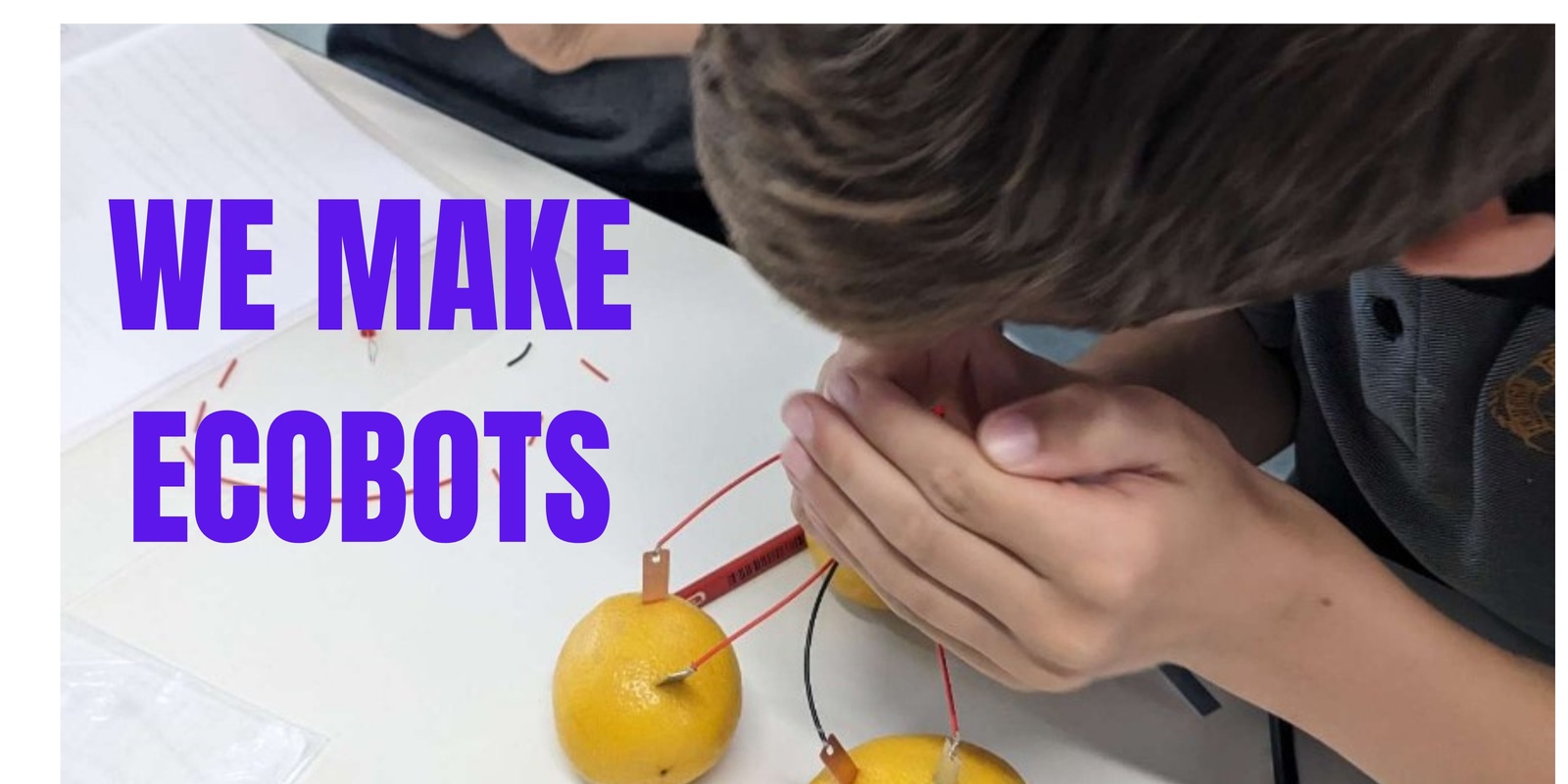 Banner image for We Make Ecobots