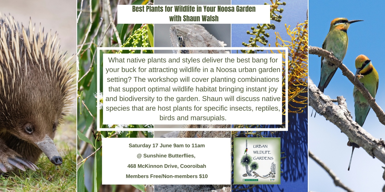 Banner image for Best Plants for Wildlife Workshop