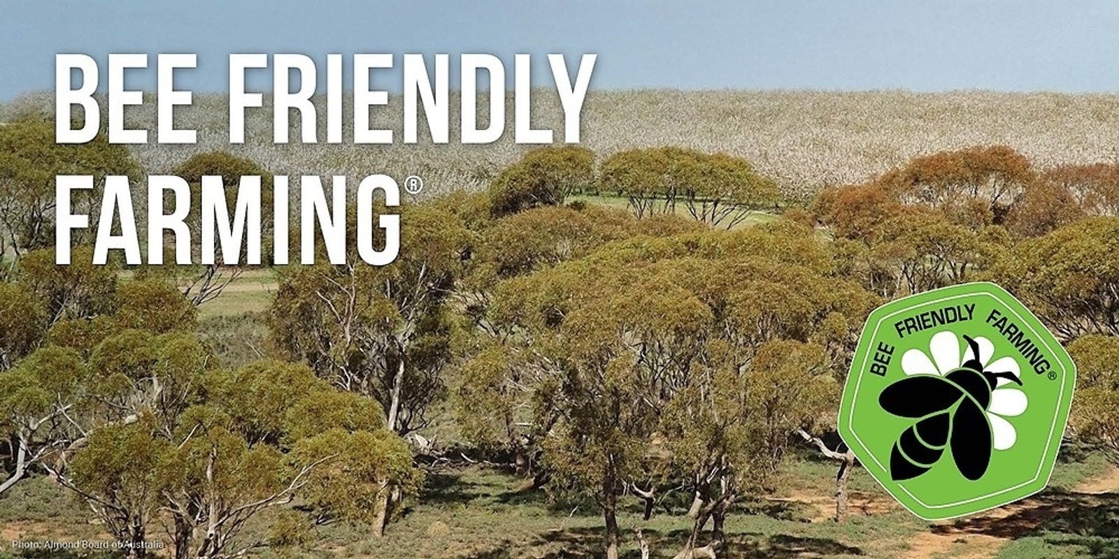 Banner image for Bee Friendly Farming Introduction Webinar 