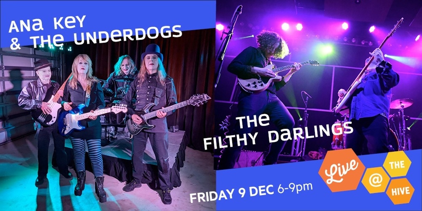 Banner image for XMAS CELEBRATIONS AT THE HIVE WITH TWO GREAT BANDS! 