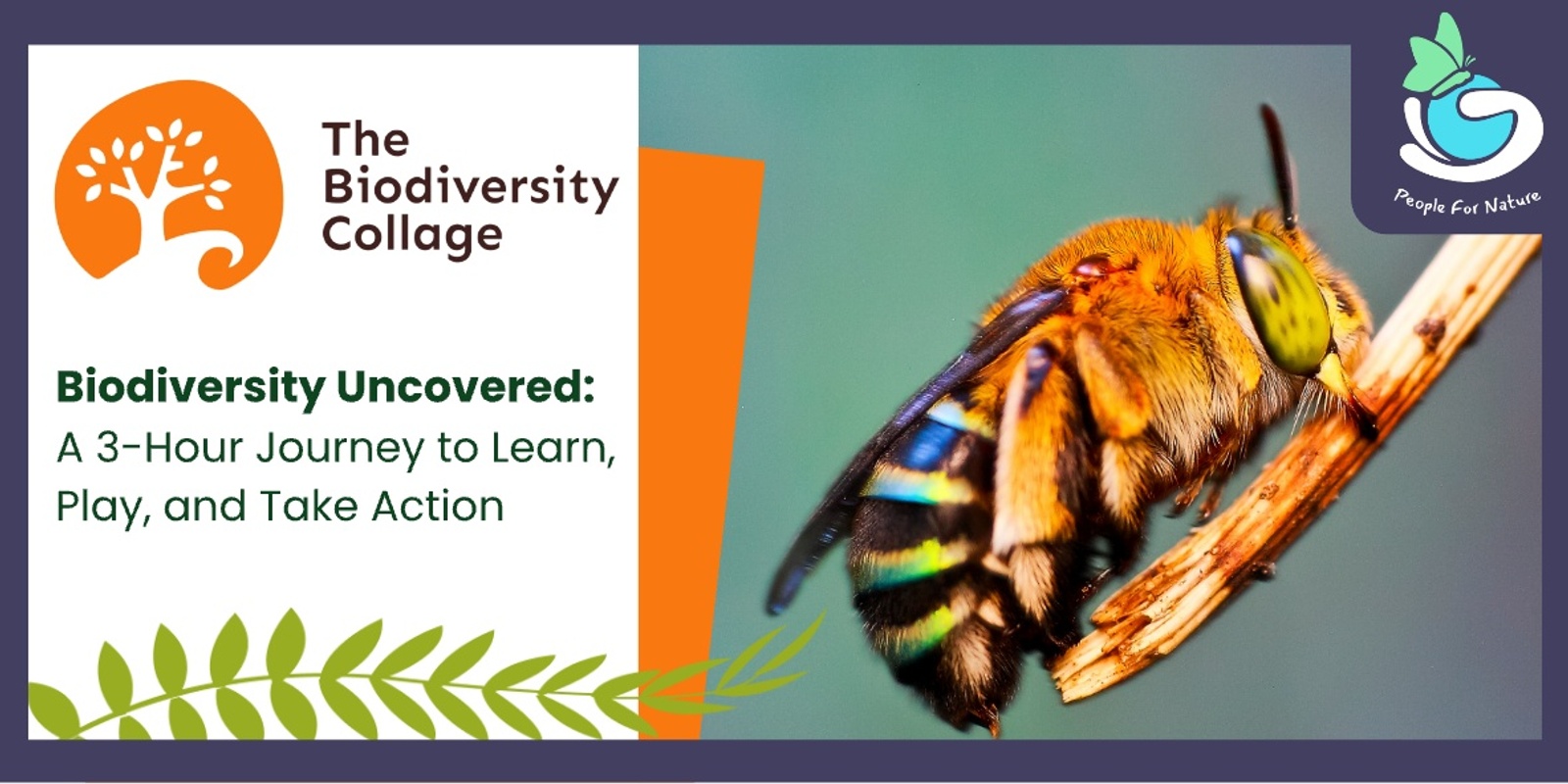 Banner image for Biodiversity Collage Brisbane - World Bee Day - May 2025