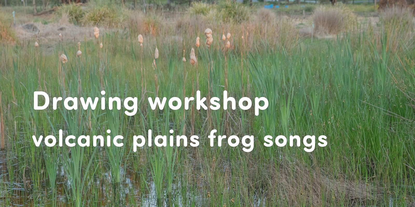 Banner image for Drawing workshop 🌿 volcanic plains frog songs