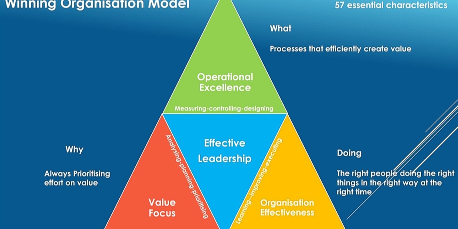 Banner image for Winning Organisation Model