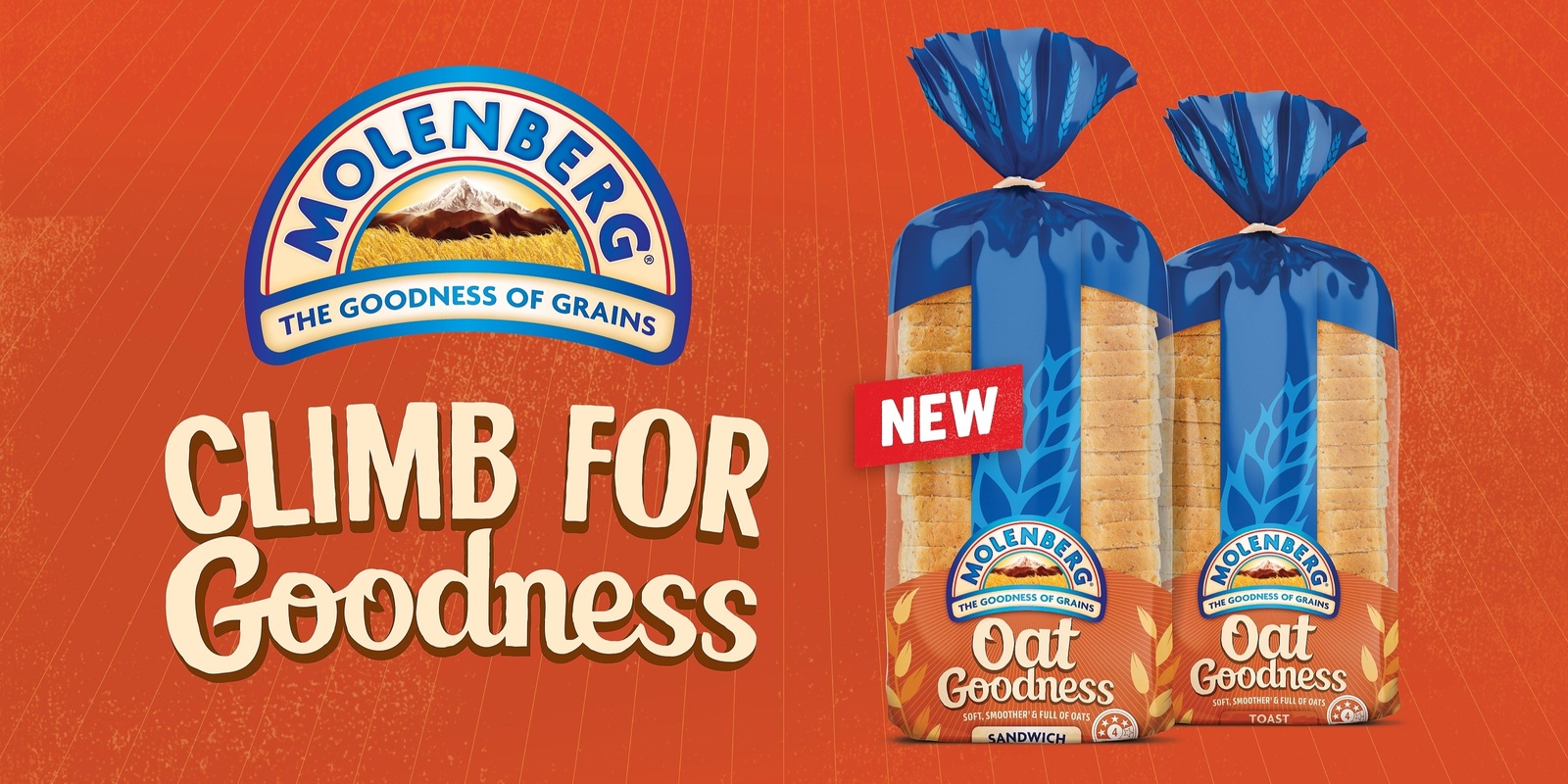 Banner image for Queenstown Molenberg Oat - Climb for Goodness