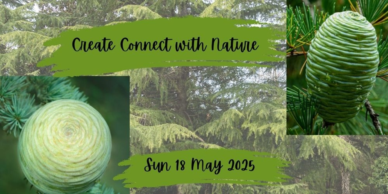 Banner image for Connect Create in Nature May 2025