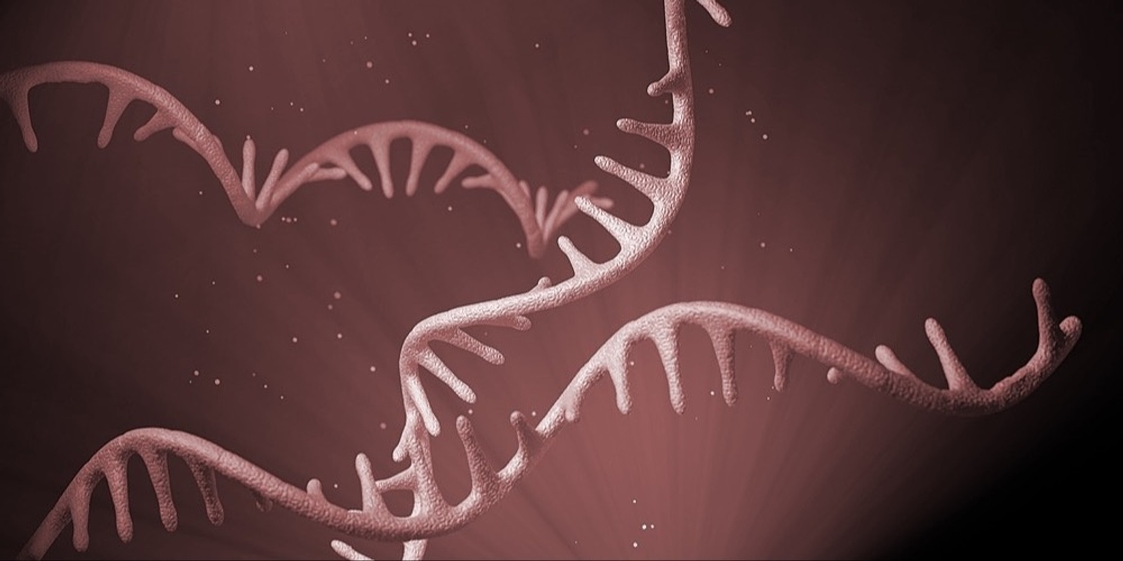 Banner image for RNA-Seq Analysis using Galaxy (Oct 2024)