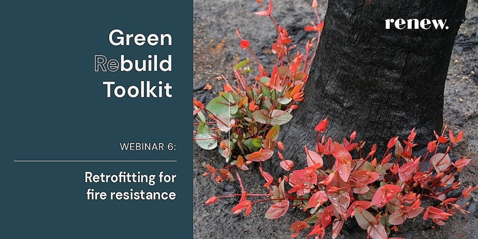 Banner image for Green Rebuild Toolkit: Retrofitting for fire resistance 
