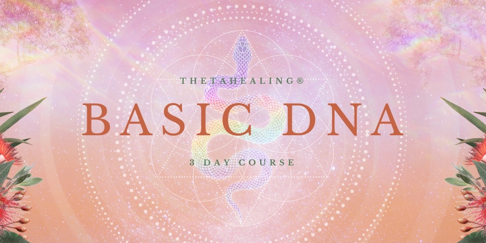 Banner image for BASIC DNA ThetaHealing® Course June in person