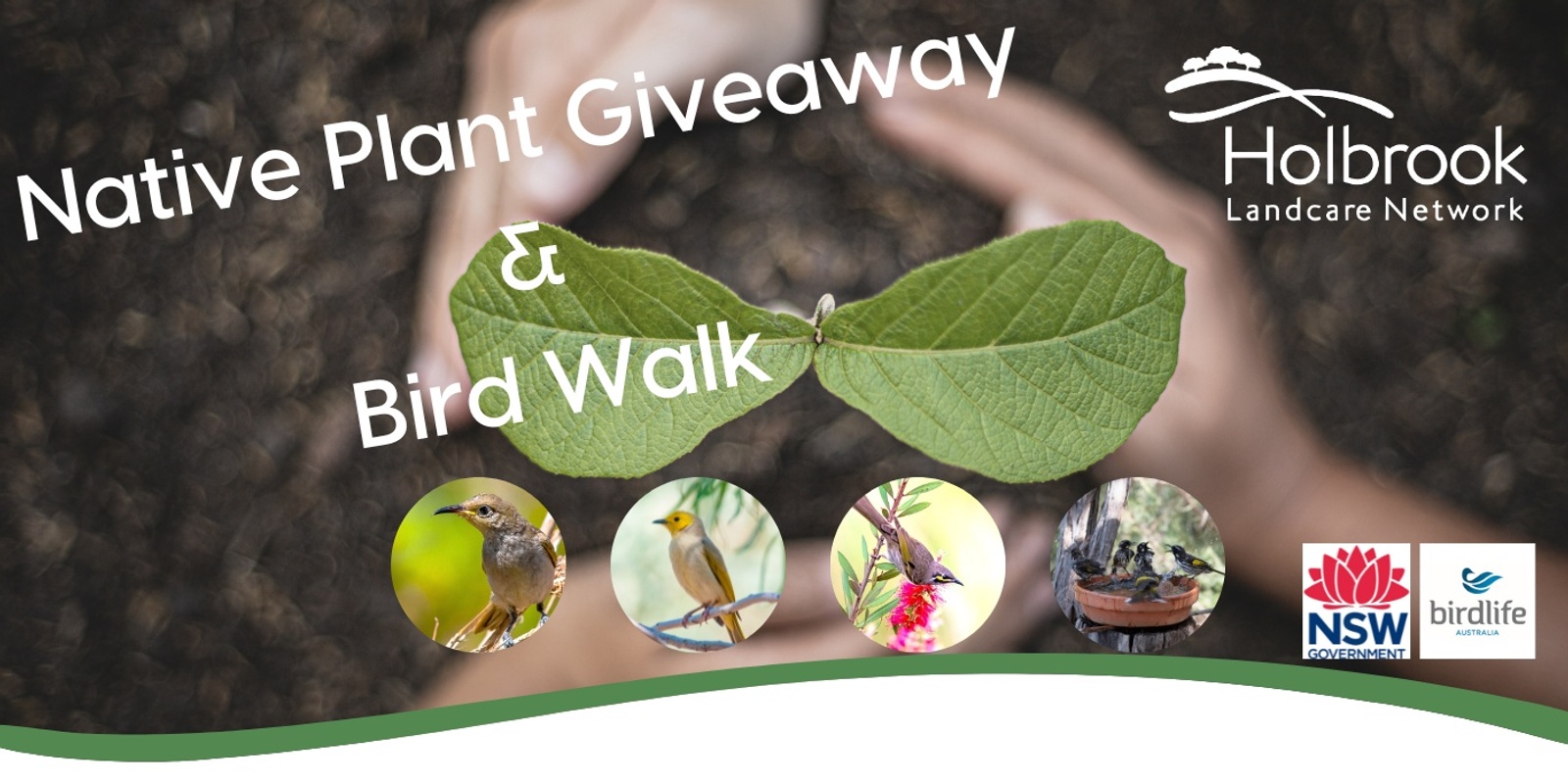 Banner image for Native Plant Giveaway and Bird Walk