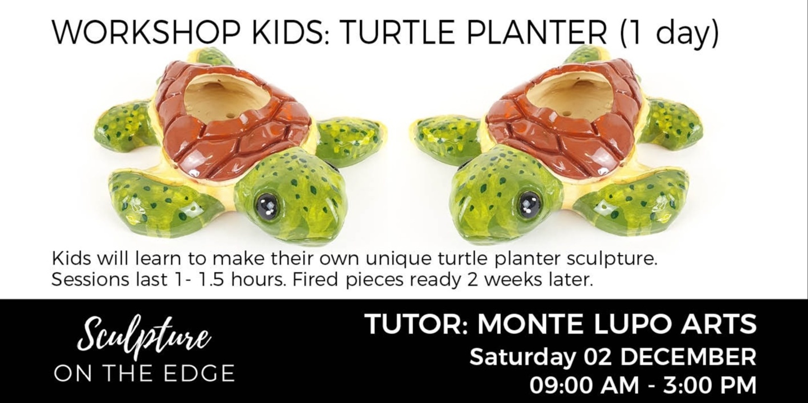 Banner image for WORKSHOP KIDS: Turtle Planter with Monte Lupo Arts Saturday 02 December