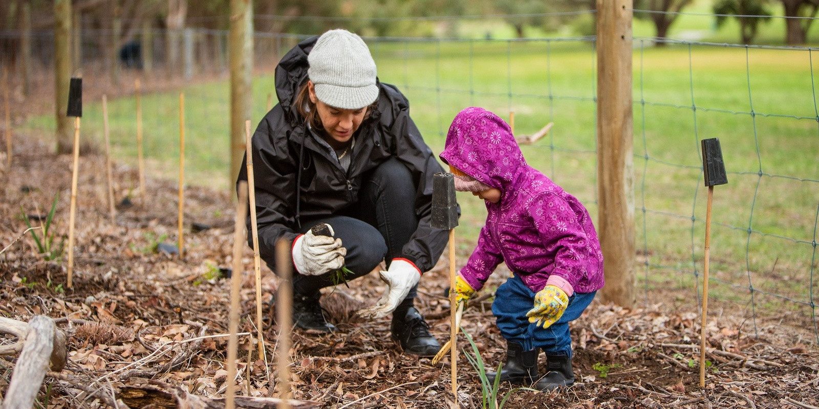 Banner image for Community Conservation Planting Day - Dianella Regional Open Space