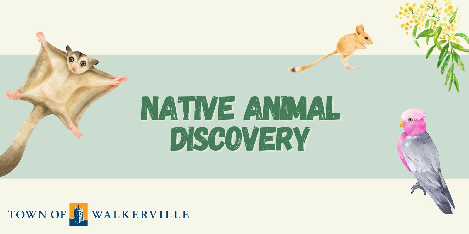 Banner image for Native animal discovery