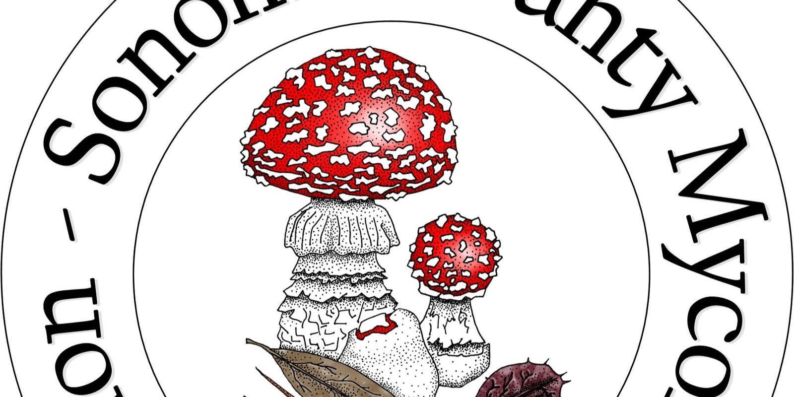Banner image for Mar 23rd, 2024 - Wild Mushrooming at Salt Point State Park