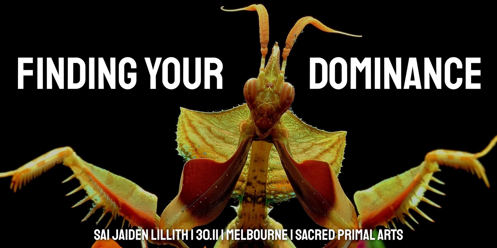 Banner image for MELBOURNE Finding Your Dominance w/ Sai Jaiden Lillith