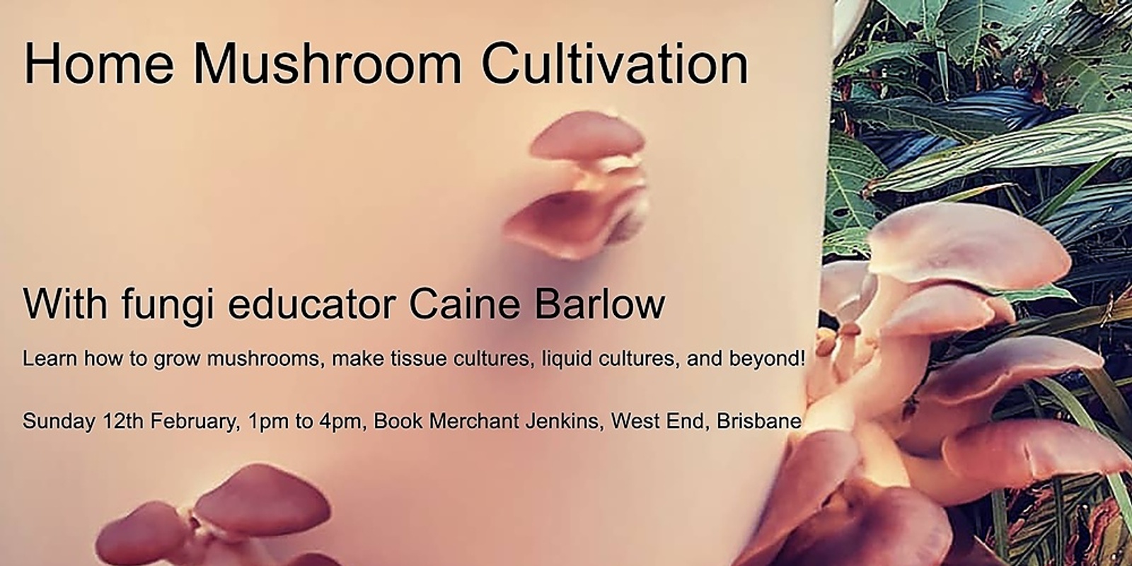 Banner image for Home Mushroom Cultivation - Intermediate Techniques - Feb 12th
