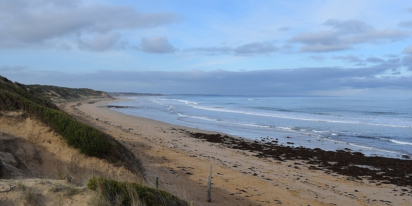 Banner image for FIELD TRIP: Ocean Grove to Barwon Heads with Phoebe Thompson and Amber Smith 