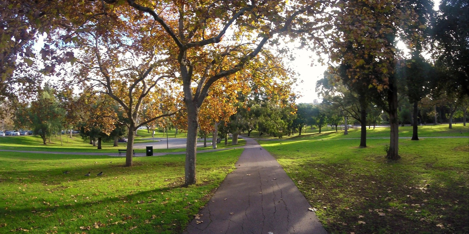 Banner image for Guided Walk through Rundle Park / Kadlitpina (Park 13)