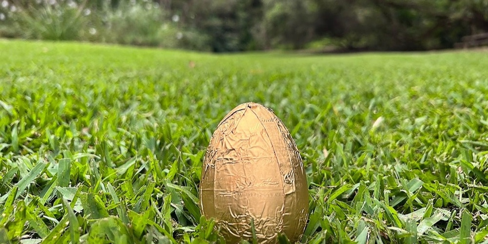 Banner image for Fairhill Kids Easter Egg Hunt 