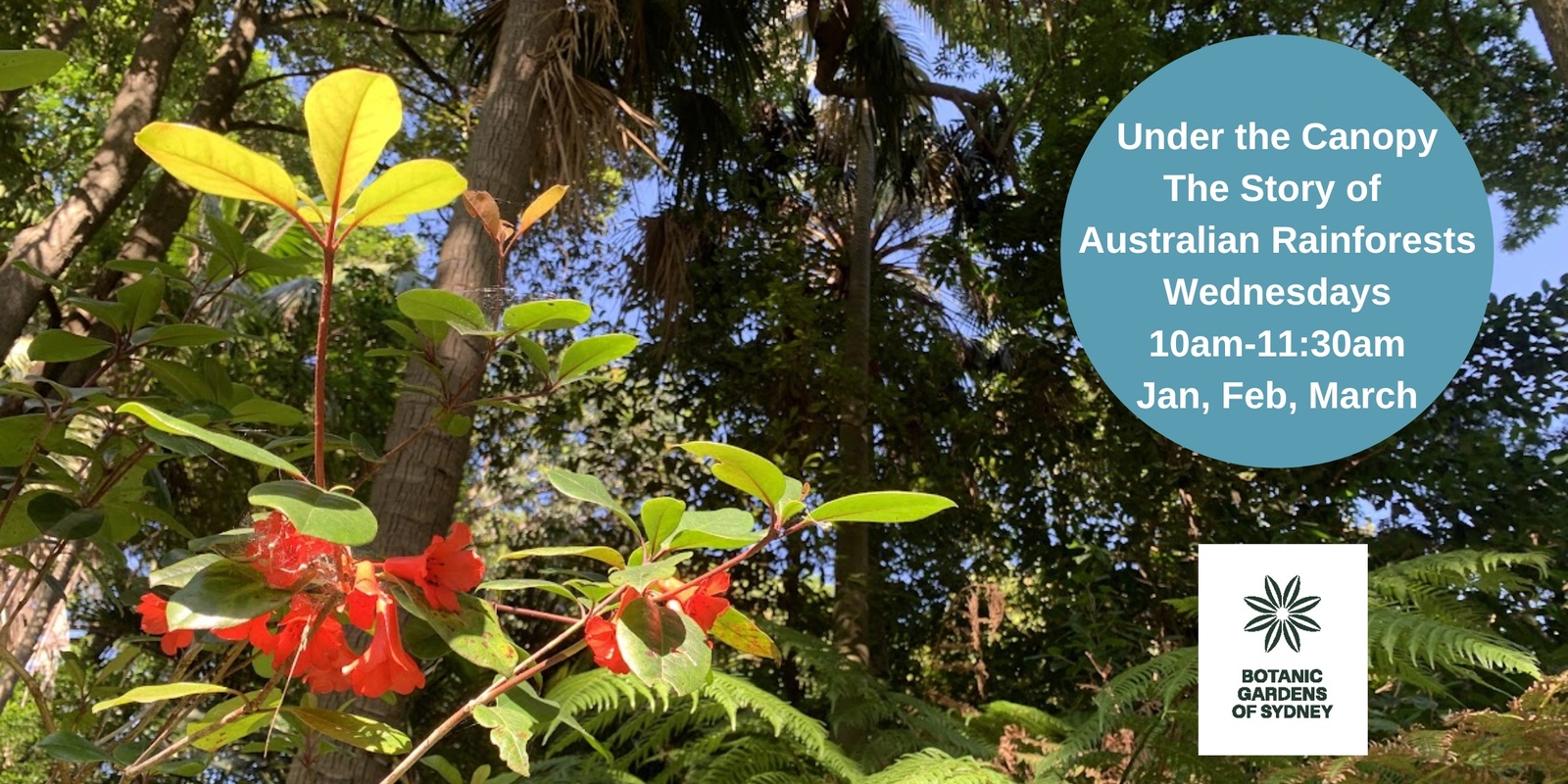 Banner image for Under the Canopy - the Story of Australian Rainforests tour 