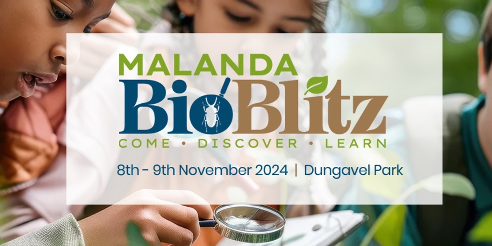 Banner image for Malanda BioBlitz