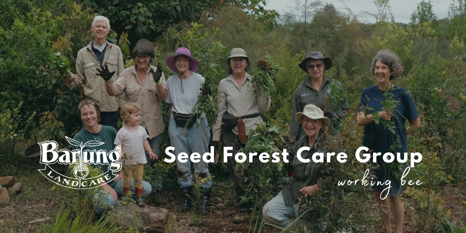 Banner image for Barung Seed Forest Care Group - Working Bee