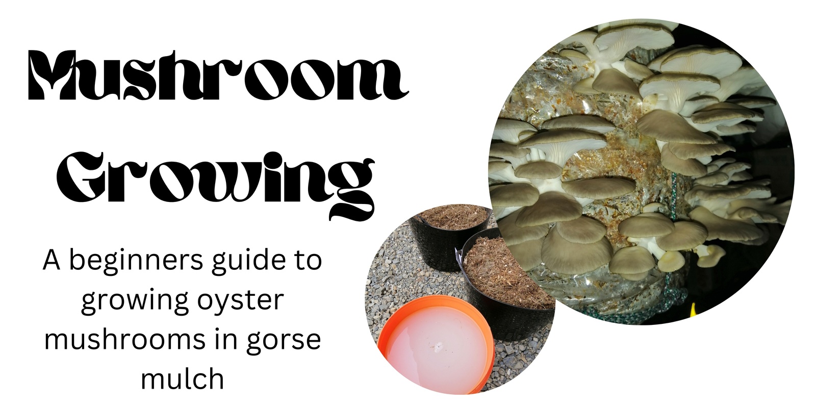 Banner image for Growing Mushrooms using Gorse Mulch