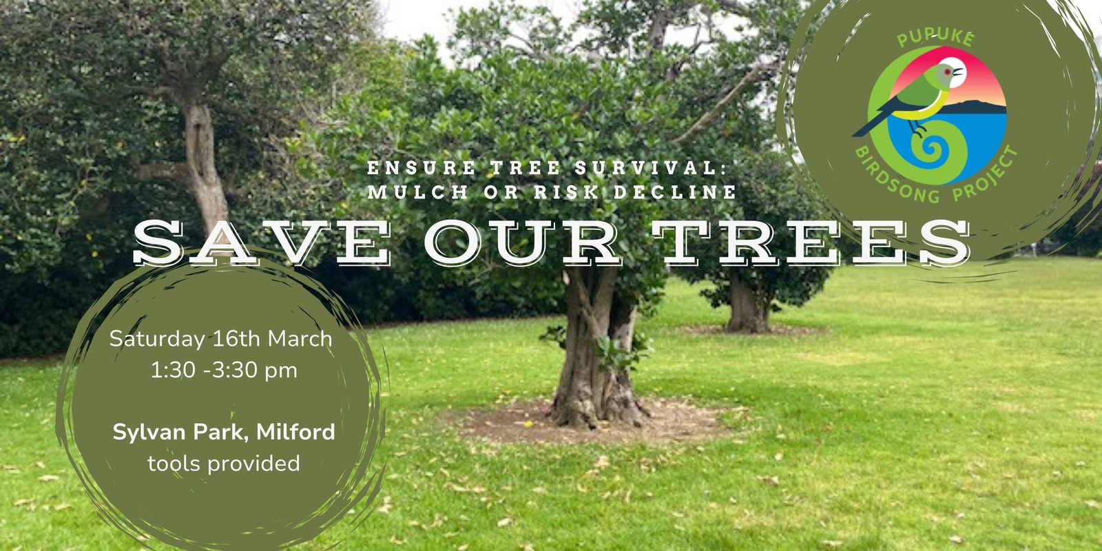 Banner image for Save Our Trees: Sylvan Park