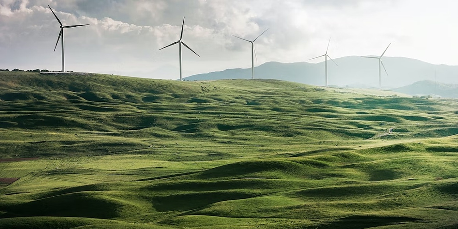 Banner image for Student Carbon Literacy Training- Full Day Course