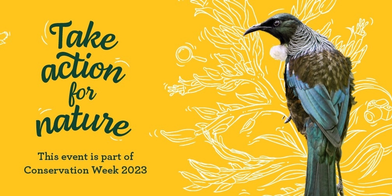Banner image for Conservation Week: Explore Aotearoa Underwater in VR 