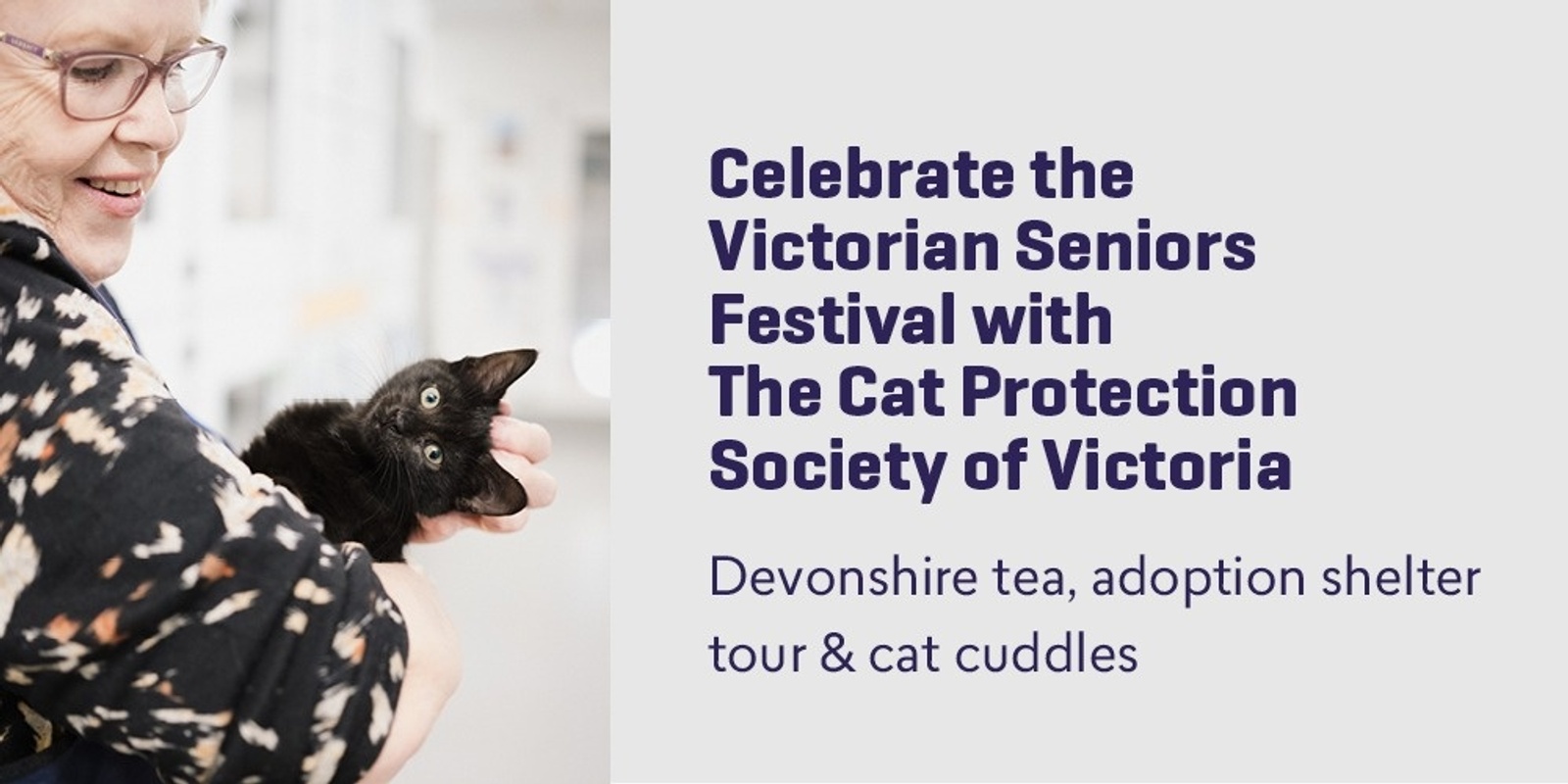 Banner image for Seniors Event - Devonshire Tea (October 2024)