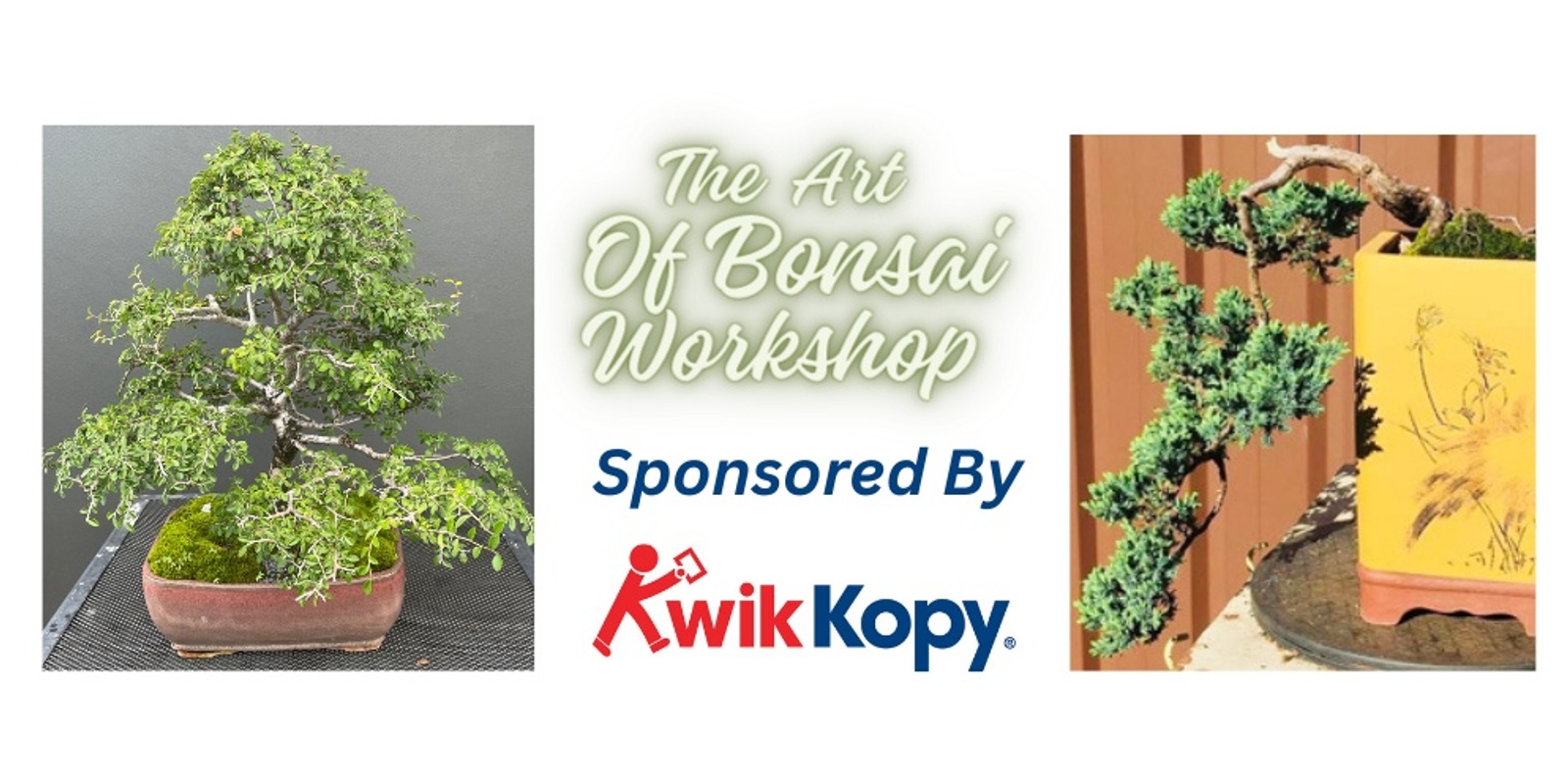 Banner image for The Art Of Bonsai Workshop