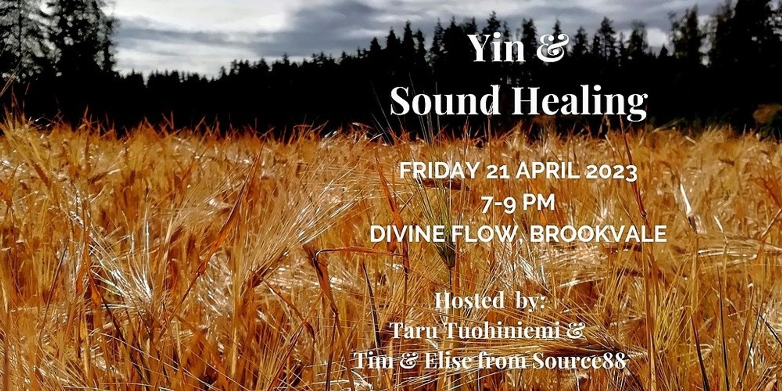 Banner image for Yin & Sound Healing in the Harvest Season