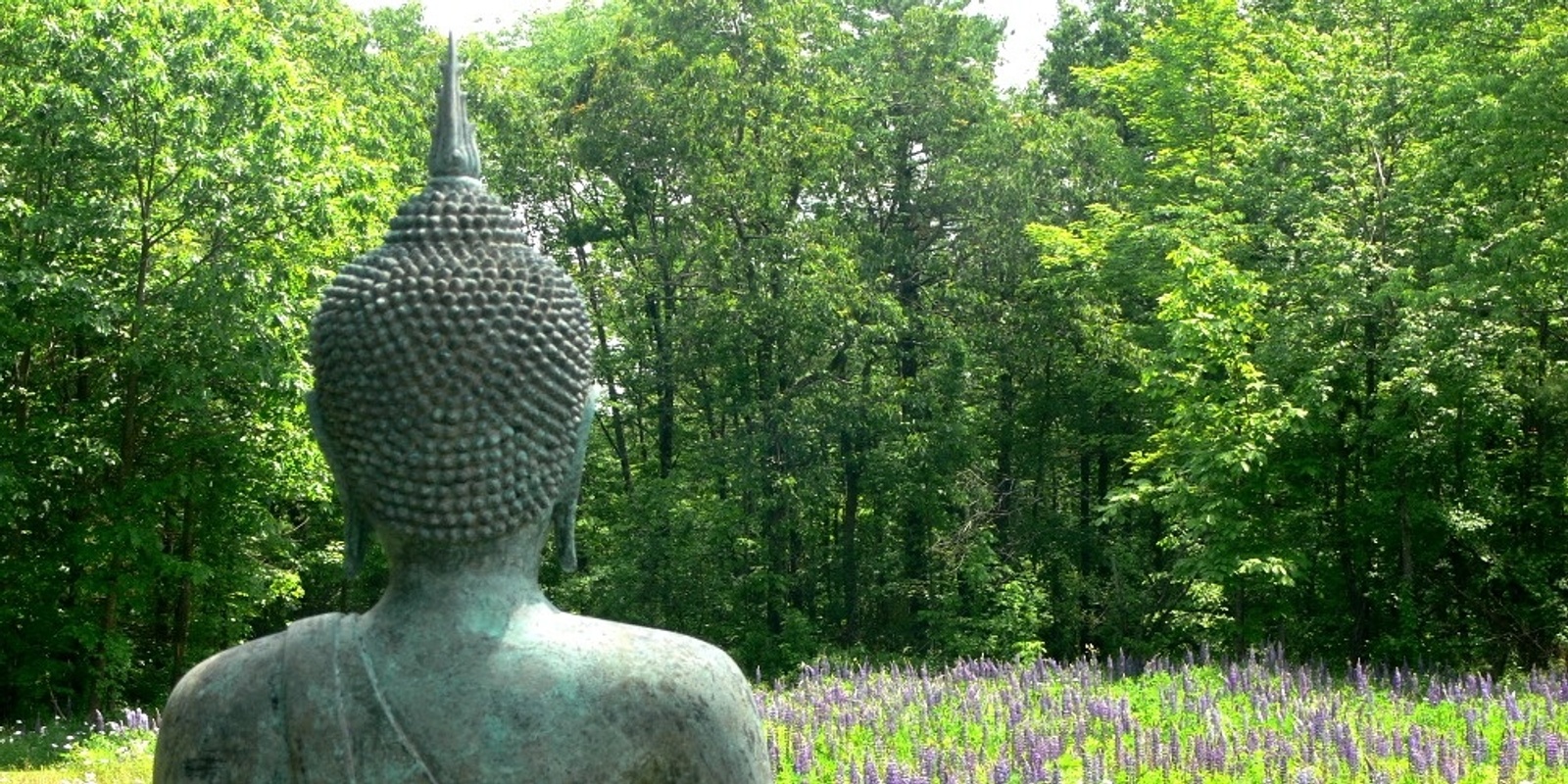 Banner image for Walking the Buddha’s path to freedom: five-day study-and-practice retreat