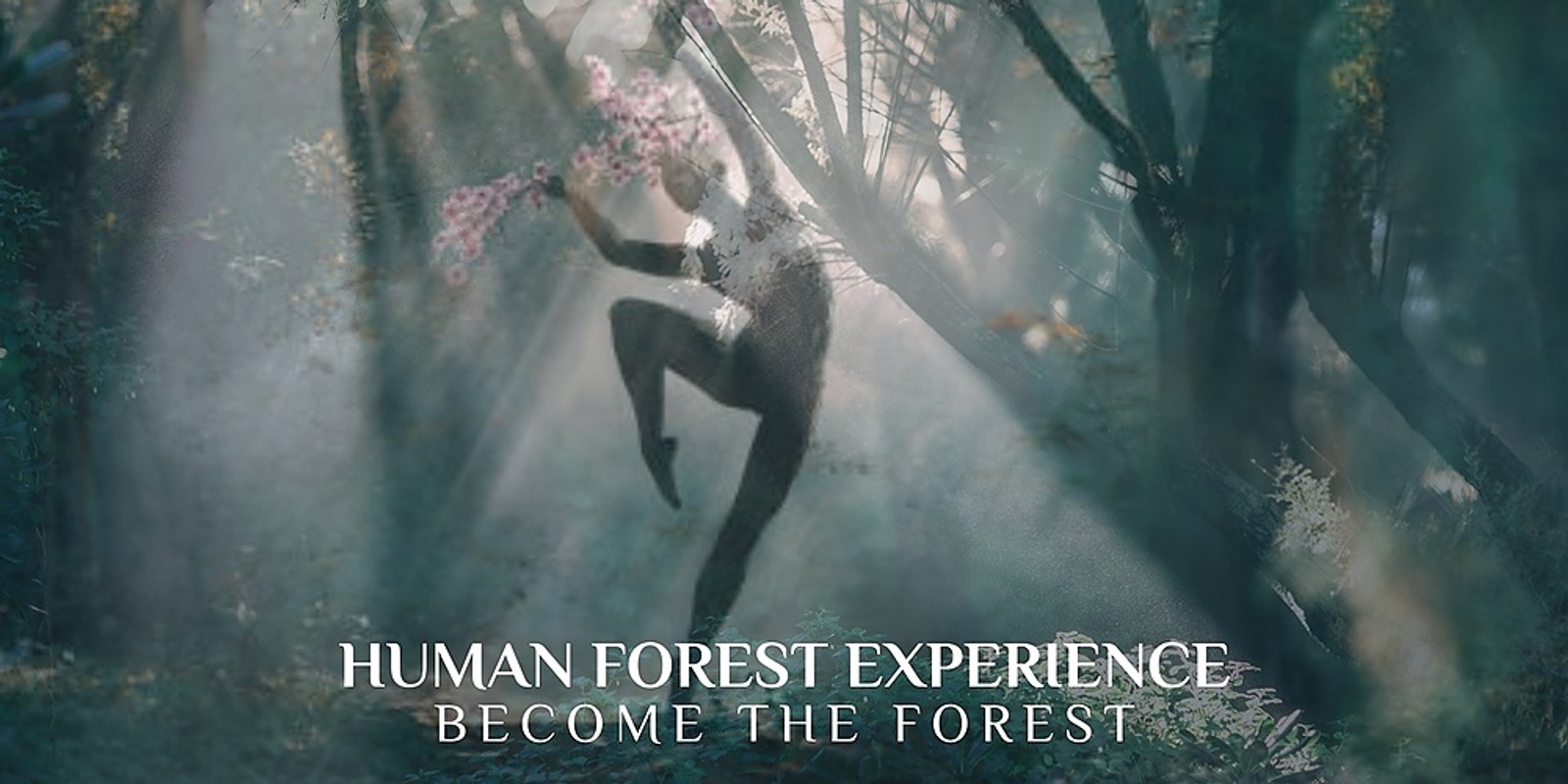 Banner image for HUMAN FOREST - JULY - BECOME THE FOREST