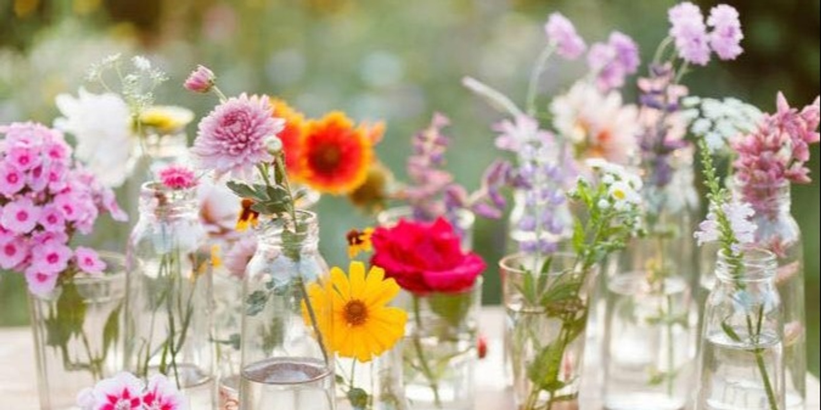 Banner image for Late Bloomers Garden & Greenhouse 